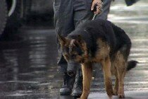 Липецкий банк оцепили из-за подозрительной сумки